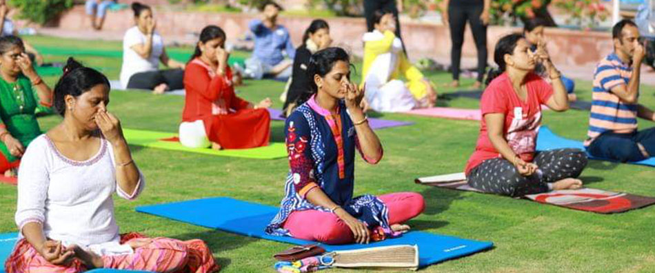 meditation & pranayama yoga